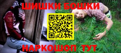индика Обь