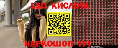 индика Обь