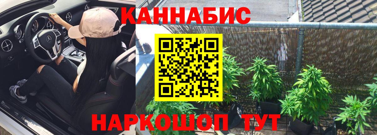 Каннабис индика Москва